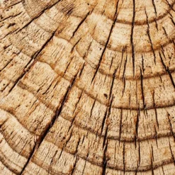 Indoor/Outdoor Faux Concrete Stump Accent Table Brown - Threshold™ Designed With Studio McGee -Default Template 1 GUEST 03deabfd 2b62 4725 94b4 09a321ea8678