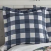 Fiori Buffalo Check Quilted Euro Sham - 2pk - Levtex Home