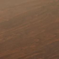 Palermo Desk Daisy Webbing Brown - Opalhouse™ Designed With Jungalow™ -Default Template 1 GUEST 61380dbd 5e4d 4038 a2d7 571e94bfa394