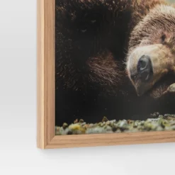 20" X 16" Bear Photography Framed Art Brown - Threshold™ -Default Template 1 GUEST 8d29808a 8d0a 4121 a8c8 64d15cc45658