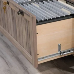 2 Drawer Costa Lateral File Cabinet Walnut - Sauder 10 2 Drawer Costa Lateral File Cabinet Walnut - Sauder -Default Template 1 GUEST 968fdcd9 d9f8 486f 80b3 7872b42a7451