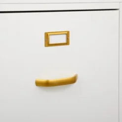 Dixie 2 Drawer Cabinet Green - Buylateral -Default Template 1 GUEST 9e9469de 446f 4532 8c80 36462f11c814